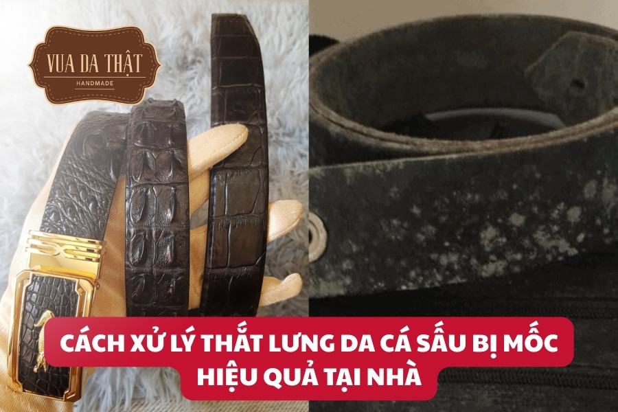 Hướng dẫn cách xử lý thắt lưng da cá sấu bị mốc tại nhà