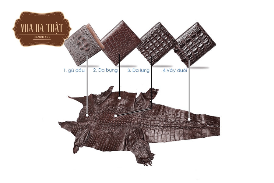 Phần bụng cá sấu là vị trí đẹp và có giá trị thương mại cao nhất.